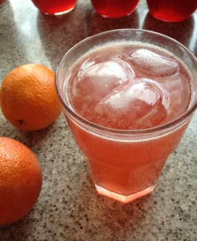 cordial with water and ice