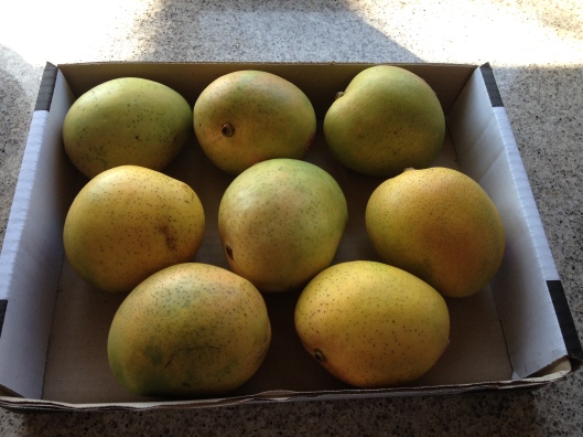 tray of mangoes