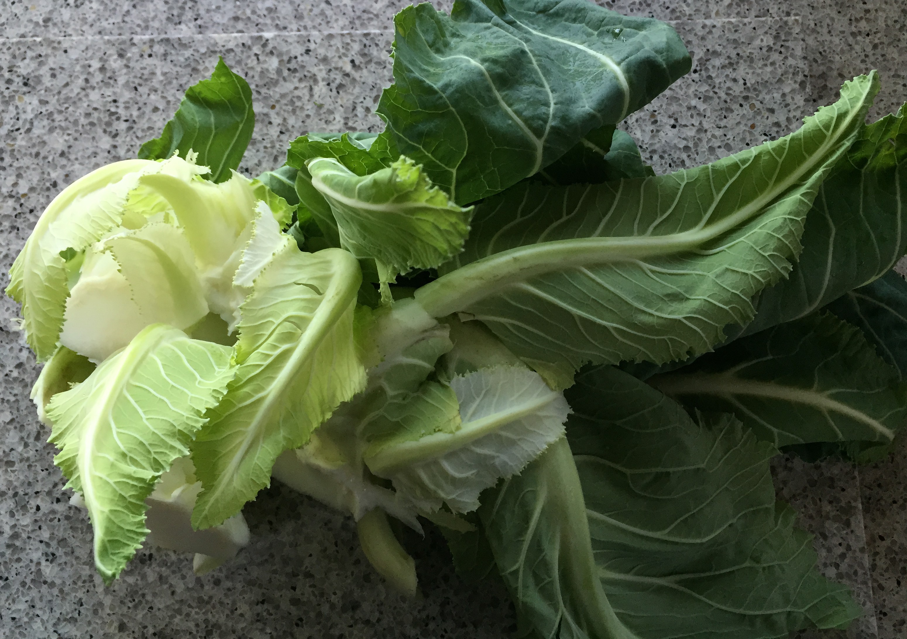 Compost Pesto – Stalks, Leaves and Cores… | In Search of Golden Pudding