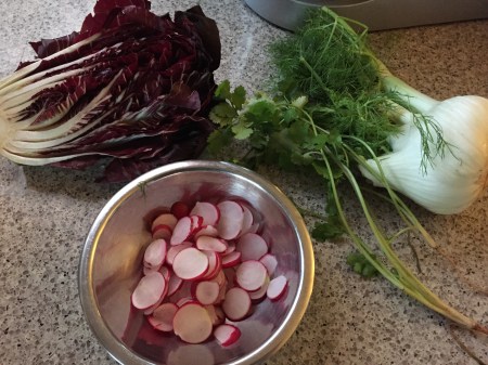 radicchio, fennel, radish and coriander
