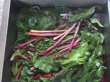 wash greens thoroughly in a sinkful of water