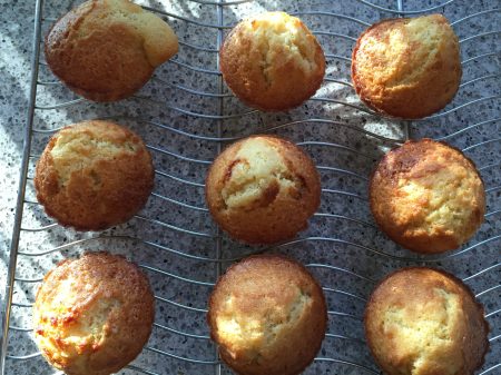 Lemon olive oil muffins