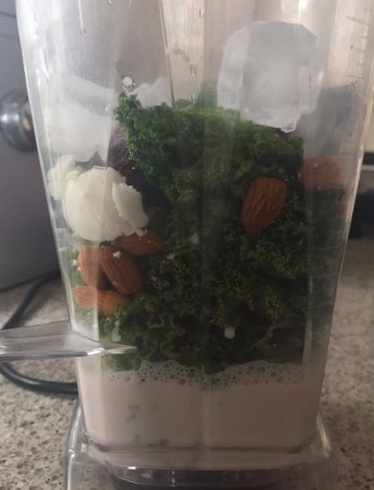 kale, almonds, almond milk, ice and coconut butter